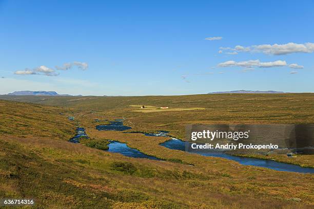 panoramic view of the laxa in adaldal river, iceland - laxa stock pictures, royalty-free photos & images