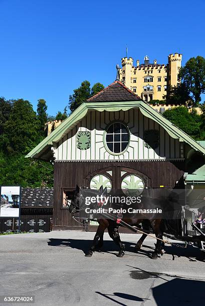 horse-drawn in front of hohenschwangau castle, fussen. - フュッセン ストックフォトと画像