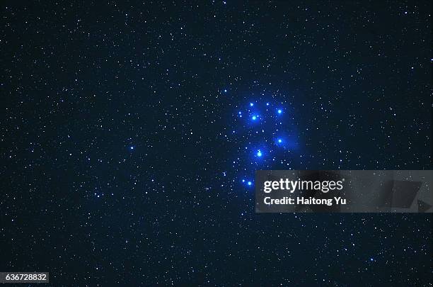the pleiades (m45), a bright open star cluster in the constellation taurus - las pléyades fotografías e imágenes de stock