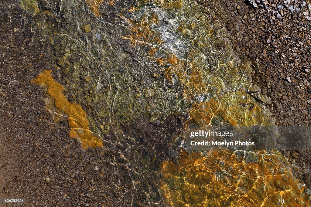 Bacteria in Yellowstone
