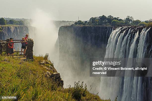 on the side of victoria falls - victoria falls stock pictures, royalty-free photos & images