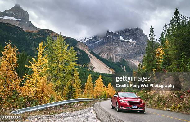 autumn drive in rocky mountains, yoho valley road, yoho national park, british columbia, canada - travel and canada and fall stockfoto's en -beelden