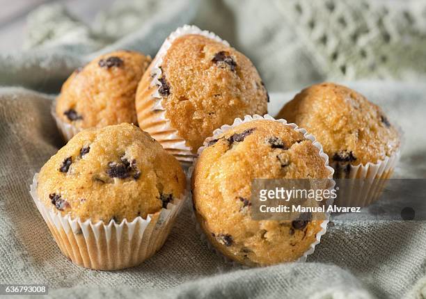 chocolate chip muffins - muffin stock pictures, royalty-free photos & images