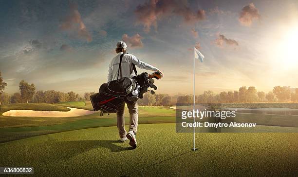 golf: man playing golf in a golf course - swing de golf bildbanksfoton och bilder