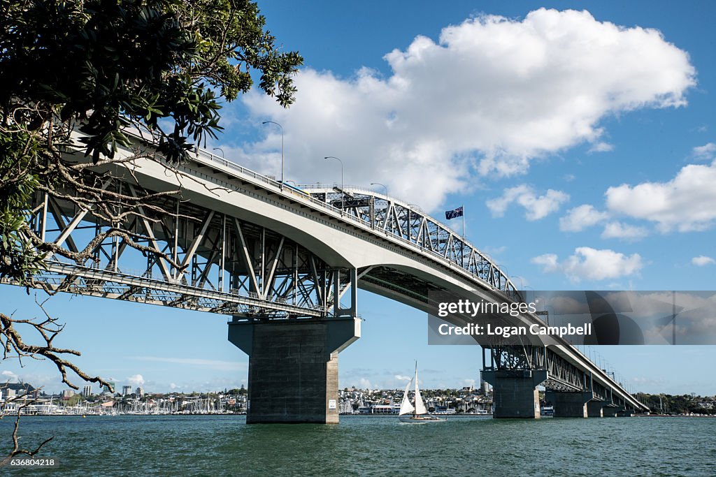 Auckland Harbour Bridge With Yaht