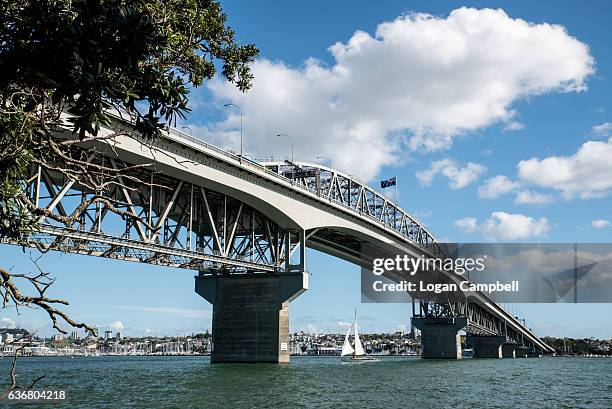 auckland harbour bridge with yaht - new zealand boats auckland stock pictures, royalty-free photos & images