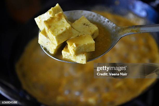 paneer curry-indian dish - paneer stock-fotos und bilder