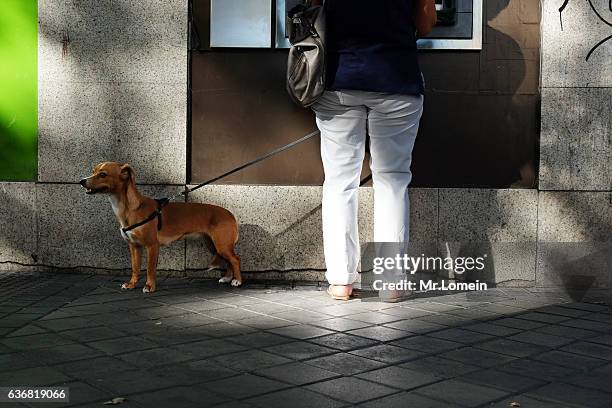 woman with dog in an atm - cajero stock pictures, royalty-free photos & images