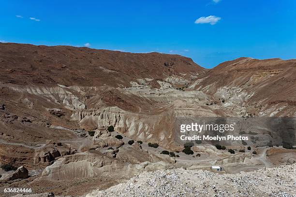 judaean desert landscape scene - judaean stock pictures, royalty-free photos & images