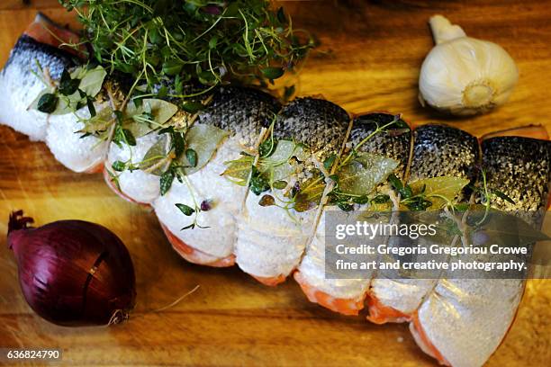 raw salmon - gregoria gregoriou crowe fine art and creative photography stock pictures, royalty-free photos & images