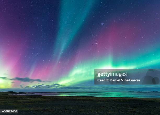 aurora over sea in iceland near from eastfjords - aurora borealis stock-fotos und bilder