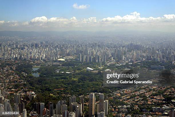 ibirapuera park - ibirapuera park fotografías e imágenes de stock