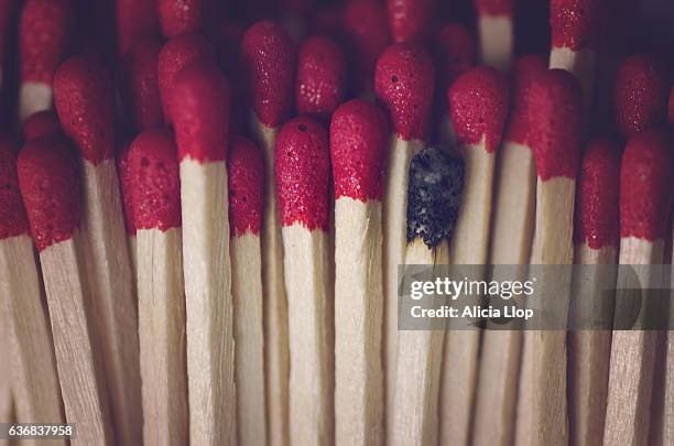 matches - blaze pattern animal marking stock pictures, royalty-free photos & images