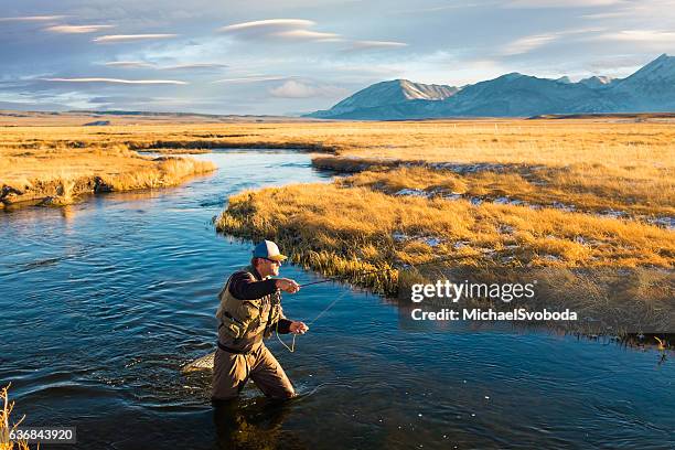 fly fisherman on the river casting - casting stockfoto's en -beelden