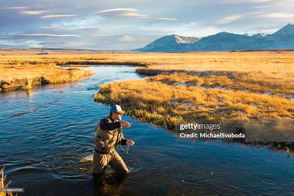 Fly Fisherman On The River Casting