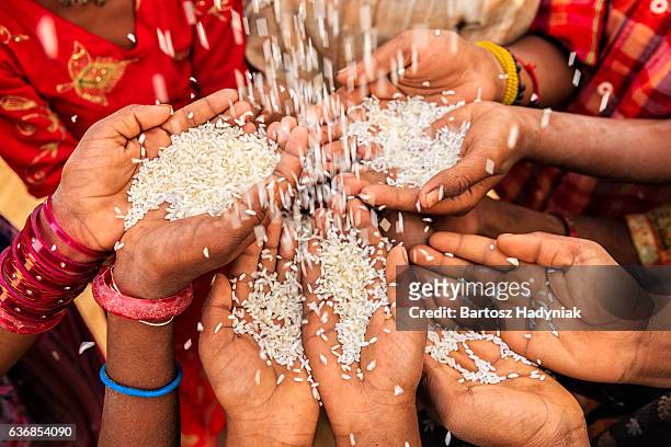 schlechte indischen kinder stellen für speisen, indien - rice grain stock-fotos und bilder