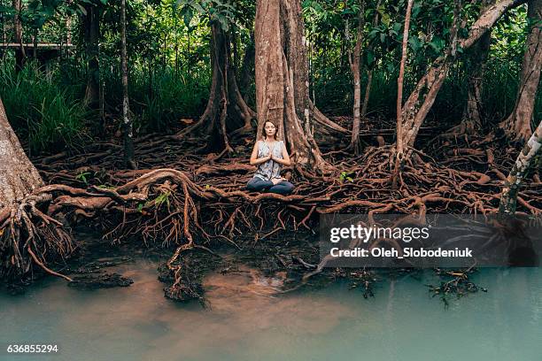 woman doing yoga near the river in tropical forest - província de krabi imagens e fotografias de stock