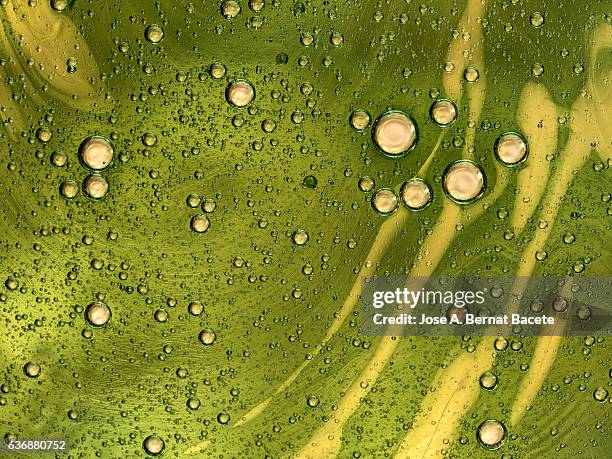 full frame of the textures formed by the bubbles of oil in the shape of circles floating on the water color yellow - base sports equipment stockfoto's en -beelden