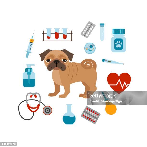 Concepto De Dibujos Animados De Veterinario Ilustración de stock - Getty Images Concepto De Dibujos Animados De Veterinario Ilustración de stock - Getty Images