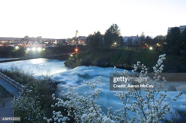 river and blossoms - spokane stock pictures, royalty-free photos & images