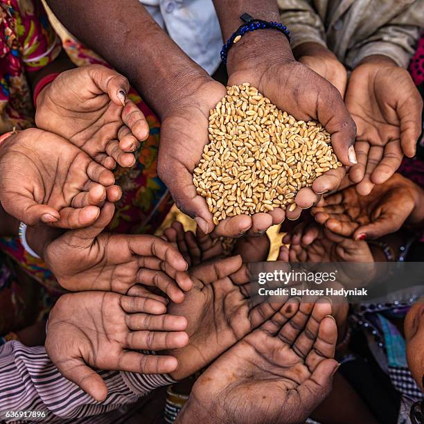 hungrig afrikanische kinder stellen für speisen, afrika - hunger stock-fotos und bilder