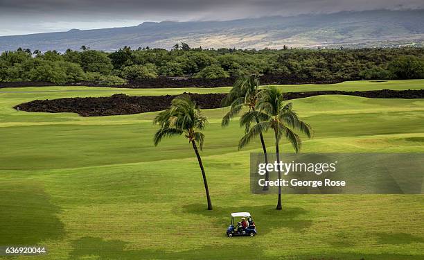 Three palm trees dot the lush, green golf course at the Fairmont Orchid Hotel on December 17 along the Kona Kohala Coast, Hawaii. Hawaii, the largest...