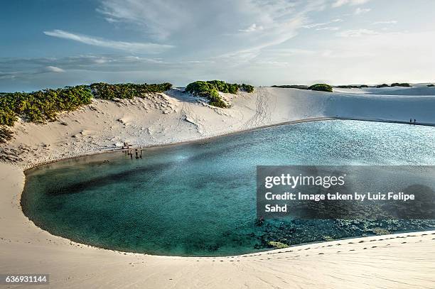 lagoon in the dunes - lencois maranhenses national park stock pictures, royalty-free photos & images