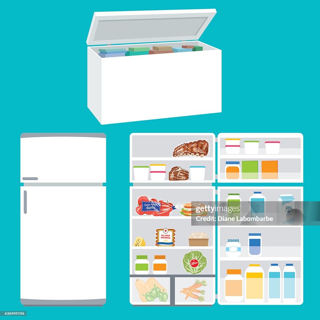 Refrigerator And Freezer Filled With Foods