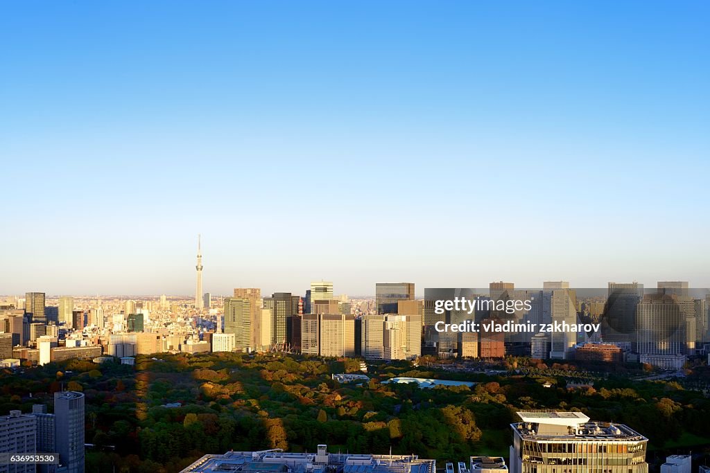 Skyline of Tokyo