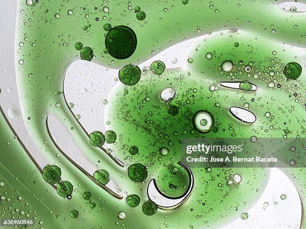 full frame of the textures formed by the bubbles and drops of oil in the shape of circle floating on a white background - genetic variation stock pictures, royalty-free photos & images