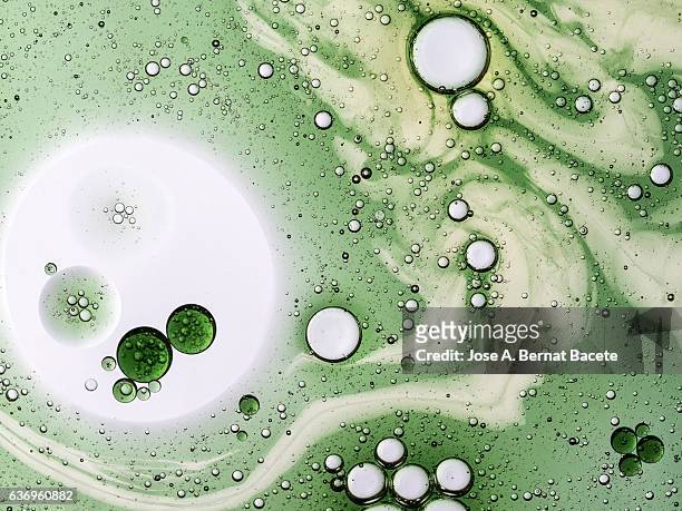 full frame of the textures formed by the bubbles and drops of oil in the shape of circle floating on a white background - base sports equipment stockfoto's en -beelden