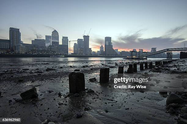 nelson dock sunrise - marea baja fotografías e imágenes de stock
