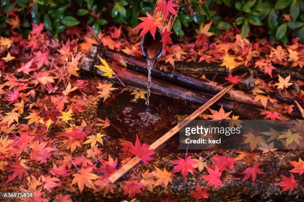 autumn colors ／japan - karesansui photos et images de collection