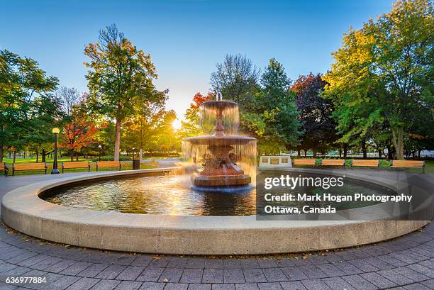 sun drenched fountain - wasserstrahl stock-fotos und bilder