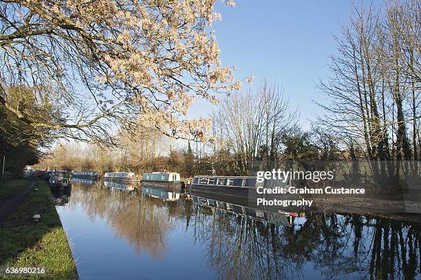 grand union canal - buckinghamshire stock pictures, royalty-free photos & images