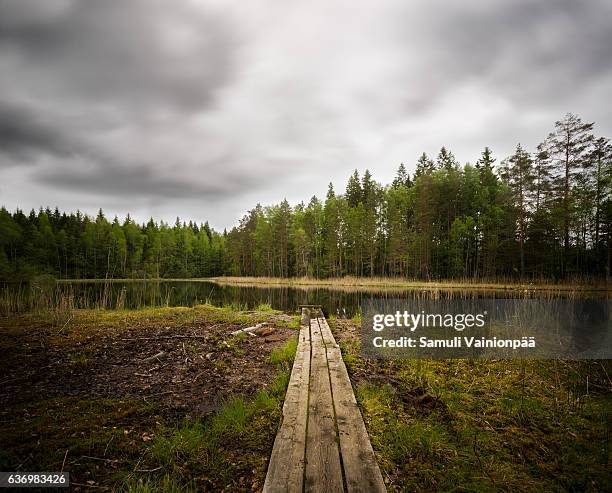 boardwalk through forest wetlands, tampere finland - gloomy swamp stock pictures, royalty-free photos & images