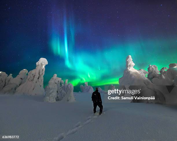 aurora borealis / northern lights, iso-syöte finland - aurora borealis 個照片及圖片檔