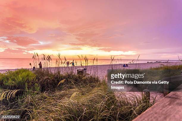 sunset at a pristine beach in idyllic naples, florida, usa - nápoles florida fotografías e imágenes de stock