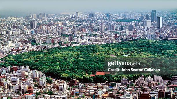 yoyogi park - yoyogi tokyo stock pictures, royalty-free photos & images