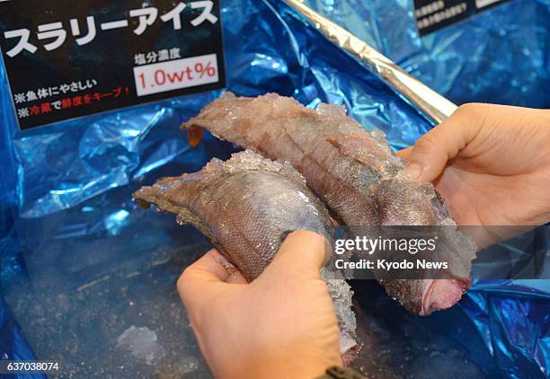 Japan - Kamaishi Hikari Foods, one of the Japanese companies affected by the March 2011 earthquake and tsunami, exhibits fresh fish frozen with...