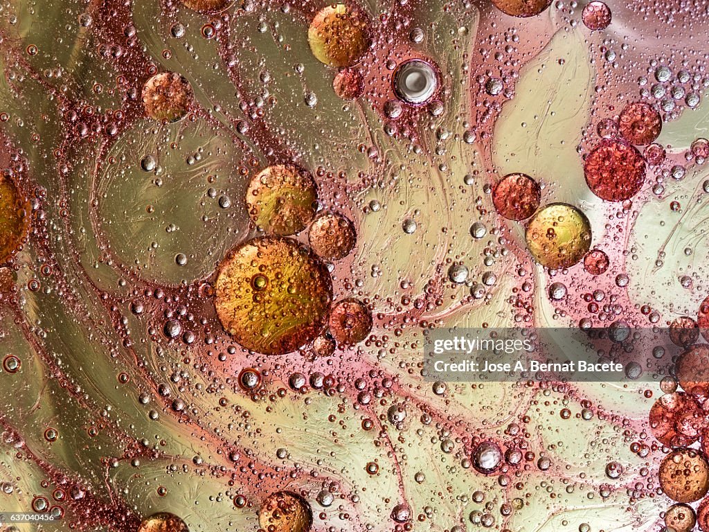 Full frame of the textures formed by the bubbles and drops of oil in the shape of circle floating on a gold and bronze colors background