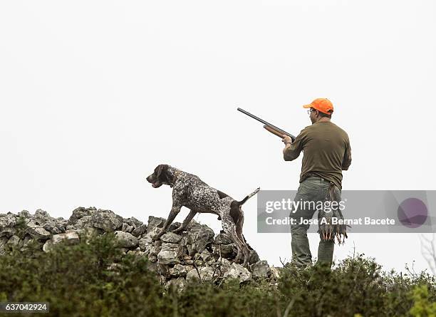 hunter of partridges with his shotgun and his dog in the mount - caza fotografías e imágenes de stock