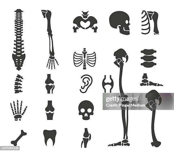 menschliche anatomie-symbol-set - spine stock-grafiken, -clipart, -cartoons und -symbole