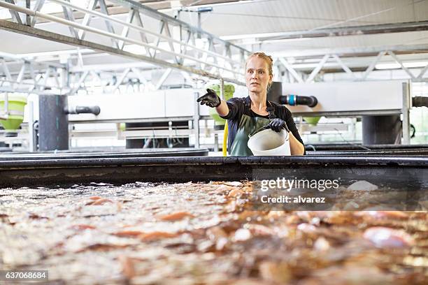 arbeiterin, die in einer fischfarm arbeitet - fischzucht stock-fotos und bilder