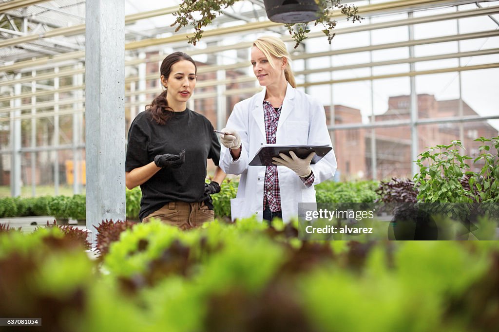 Scientist with worker examining plants in greenhouse