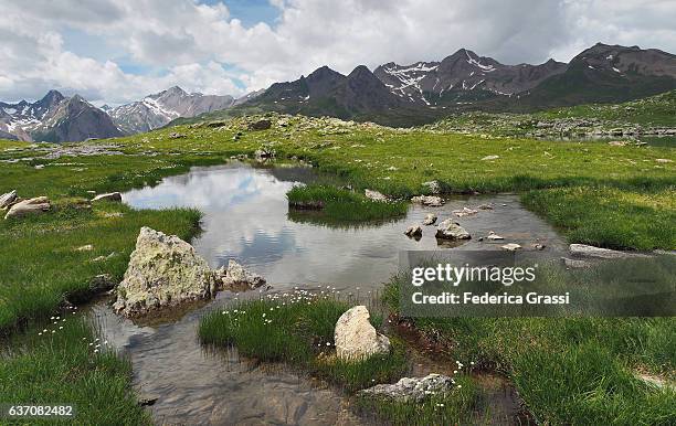 alpine wetlands with eriophorum (cotton grass) and mountain stream - gloomy swamp stock pictures, royalty-free photos & images