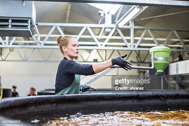 frau gibt fischen in tanks nahrung - fischfutter stock-fotos und bilder