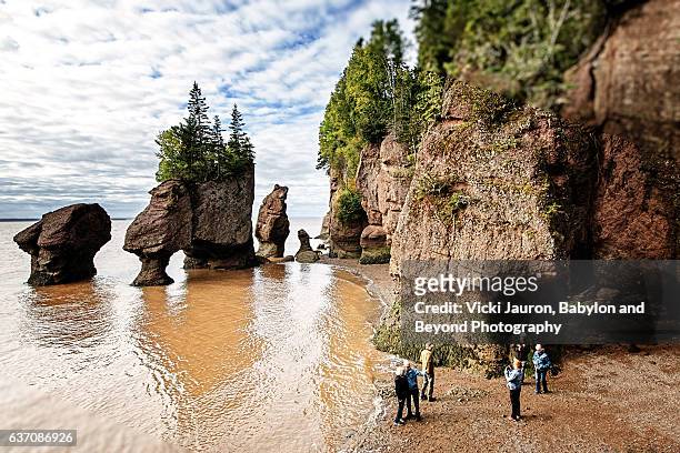 tides at hopewell rocks and lovers arch in new brunswick, canada - new brunswick canada stockfoto's en -beelden