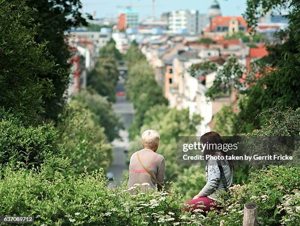 view from kreuzberg, victoria park berlin - kreuzberg stock pictures, royalty-free photos & images