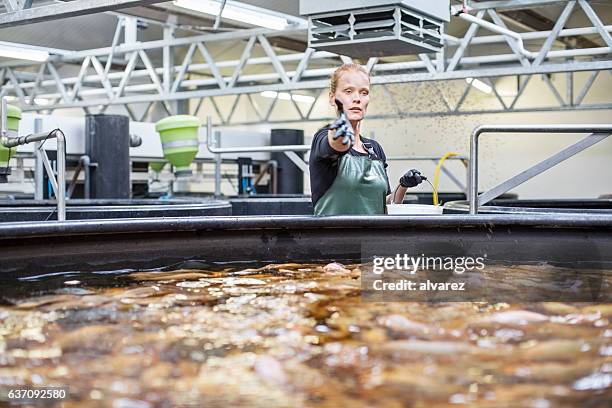 worker giving food to fishes in tanks - aquaculture stock pictures, royalty-free photos & images